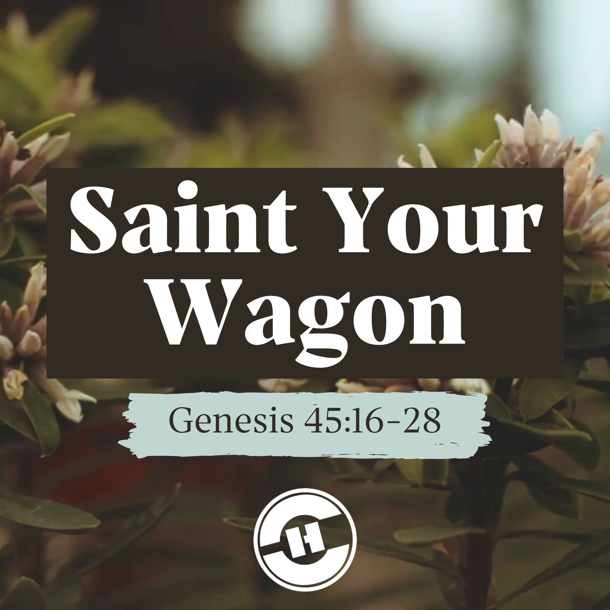 Saint Your Wagon (Genesis 45:16-28)